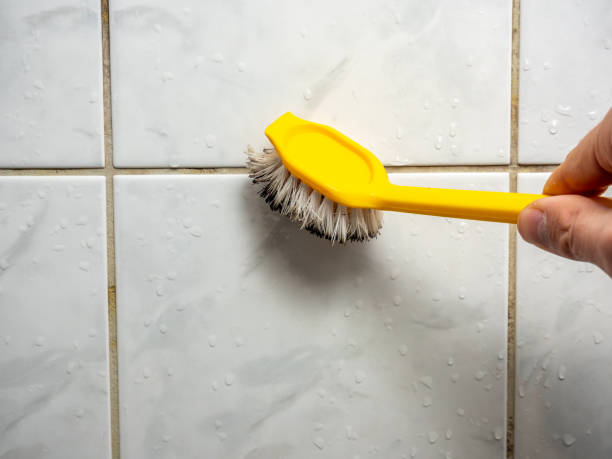 Professional Mold Removal in Nipomo, CA