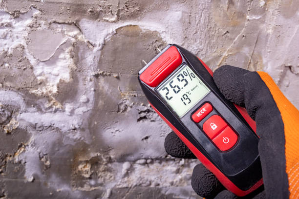 Best Mold Remediation  in Nipomo, CA