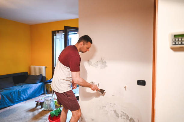 Best Office Mold Removal Services  in Nipomo, CA