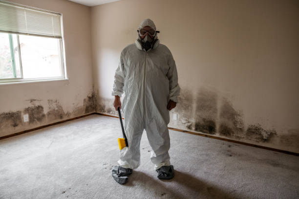 Best Residential Mold Removal  in Nipomo, CA
